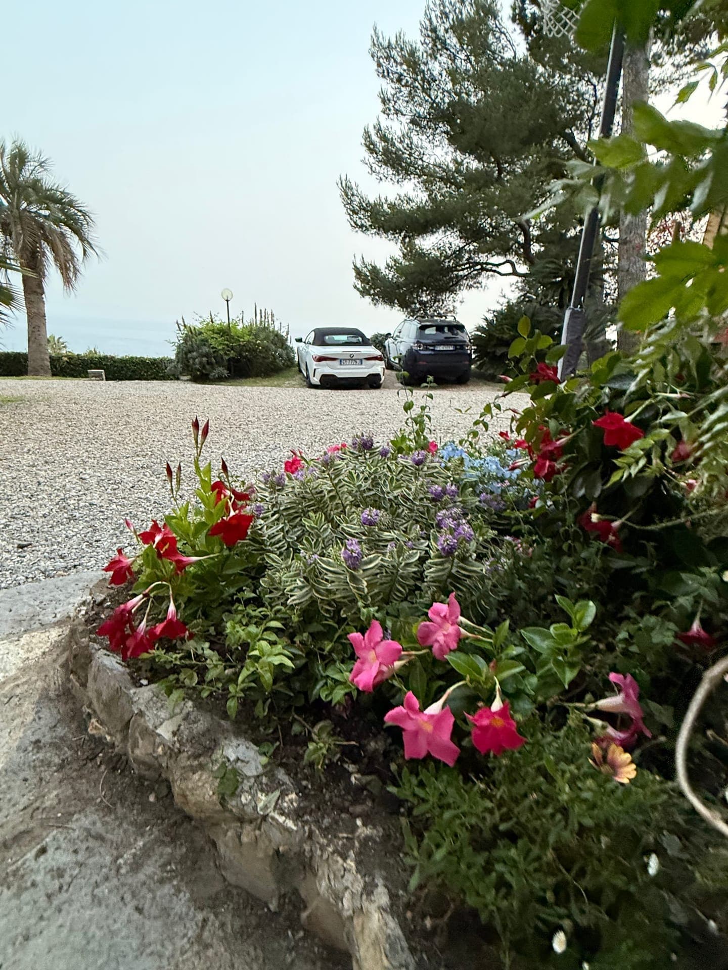 Garden — photo 6